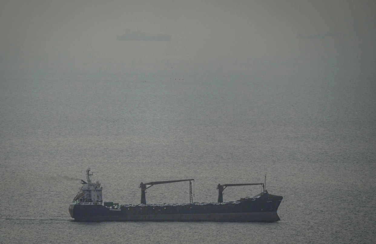 ํธ๋ฅด๋ฌด์ฆ ํดํ