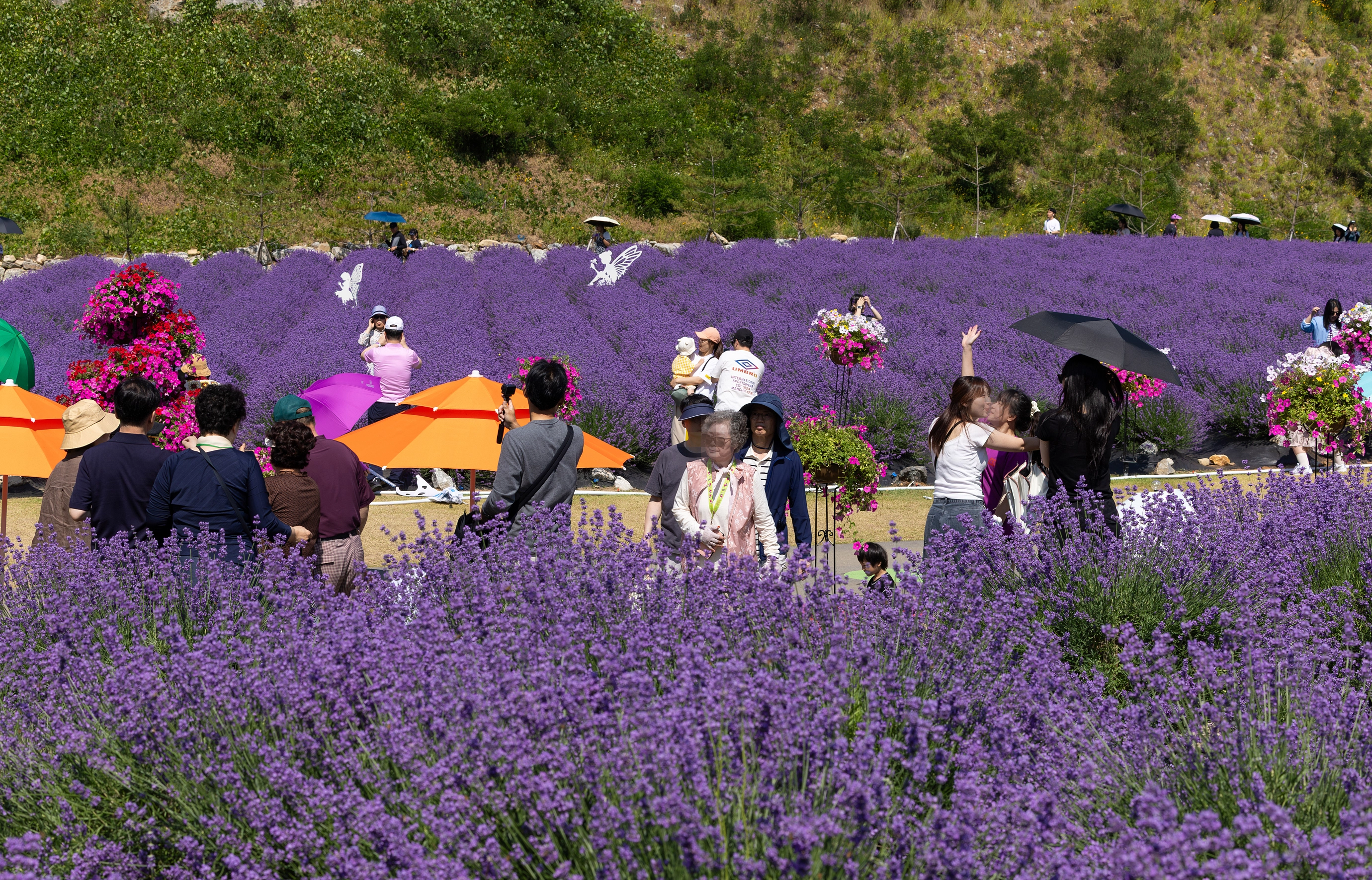 ์จํต ๋ณด๋๋น ์ธ์ '๋ํด ๋ผ๋ฒค๋์ถ์ '